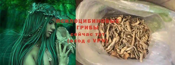 прущие грибы Верхнеуральск