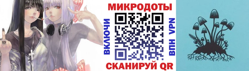 Купить  Лысьва  Псилоцибиновые грибы MAGIC MUSHROOMS 
